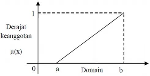 Gambar 2.1 : Representasi linear naik