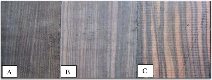 Gambar 1  Penggolongan tiga kelas kualitas kayu eboni (kelas A, B, dan C). 