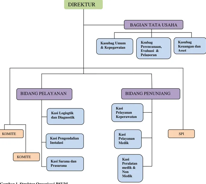 Gambar 1. Struktur Organisasi RSUM 