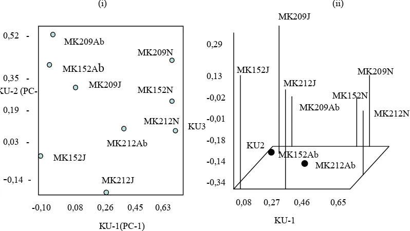 Figure 2.     Dendogram UPGMA based on DNA- AFLP bands from MK 152, MK209, and MK 212 clones