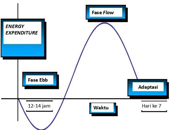 Gambar 2.3 Fase ebb dan fase flow (Preiser JC et al.,2014). 