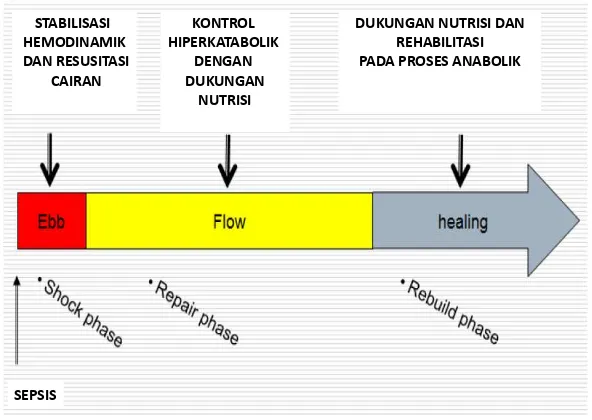 Gambar 2.6 Waktu pemberian nutrisi adekuat pada keadaan sepsis (Iqbal M,             