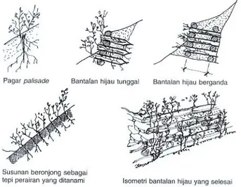 Gambar 4. Pencegahan erosi dengan menggunakan bahan tambahan (Sumber: Frick H &amp; Mulyani TH, 2006, 30) 
