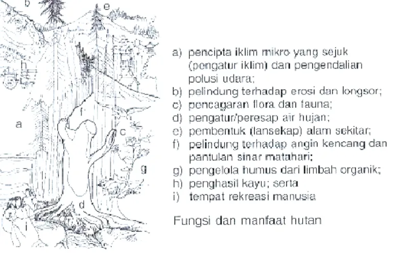 Gambar 5. Peran hutan kota (Sumber: Frick H &amp; Mulyani TH, 2006, 95) 