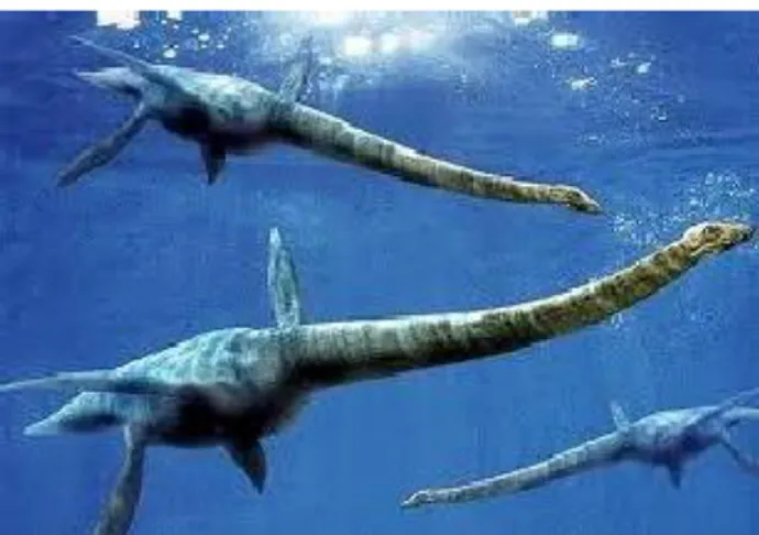 Gambar 2. Plesiosaurus: salah satu contoh hewan yang  termasuk dalam ordo Plesiosauria (en.wikip edia.or g)  