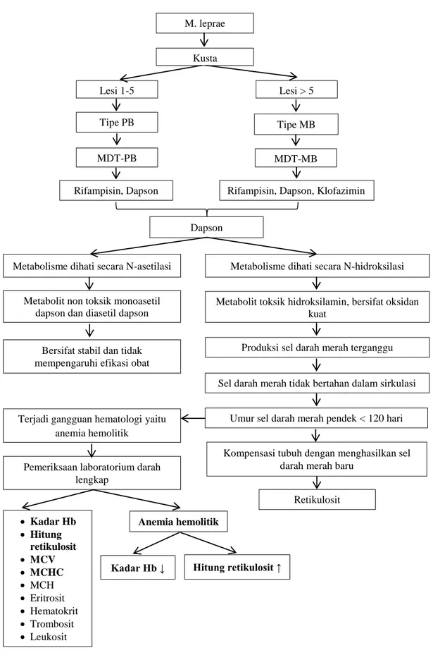 Gambar 2.2 Diagram kerangka teori penelitian 