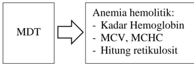 Gambar 2.3 Diagram kerangka konsep penelitian  Anemia hemolitik: 