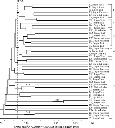 Gambar 4. Dendogram kemiripan genetik 45 sampel GanodermaFigure 4.  Dendogram of genetic similarity of 45  spp