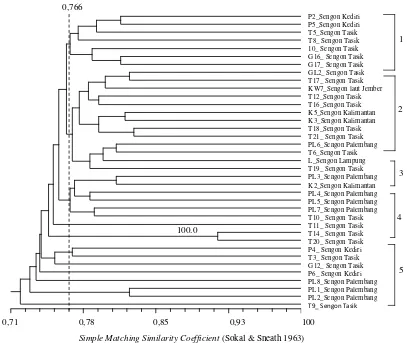 Gambar 5. Dendogram kesamaan genetic 37 sampel Ganoderma spp. yang berasosiasi dengan pohon sengon dari                       berbagai wilayah di Indonesia  berdasarkan metode UPGMA  menggunakan sepuluh primer