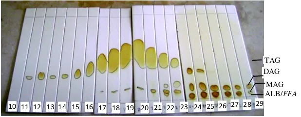 Gambar 1. Fraksinasi minyak sawit hasil gliserolisis dengan kromatografi kolom pada skala laboratorium