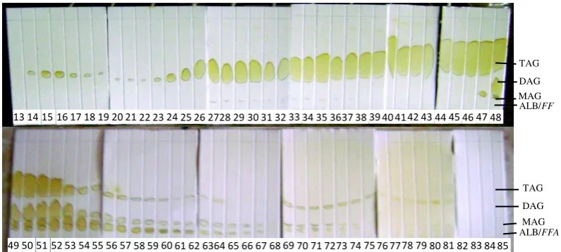 Gambar 3.  Spot DAG dan fraksi minyak lainnya hasil pemisahan dengan kromatografi kolom  dari hasil gliserolisis  