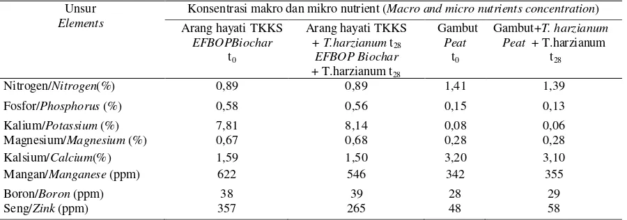 Tabel  2. Kadar  hara makro dan  mikro  dari  formula arang hayati TKKS dan gambut  yang ditambahkan T