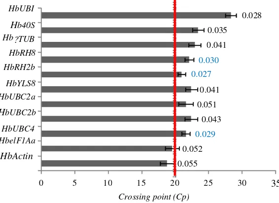 Figure 2.  Profile of cDNA resulted from PCR amplification using standar primer HbActin