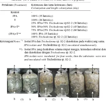 Gambar 3. Penurunan berat substrat TKKS setelah diinokulasi dengan isolat JPA dan TrichodermaFigure 3