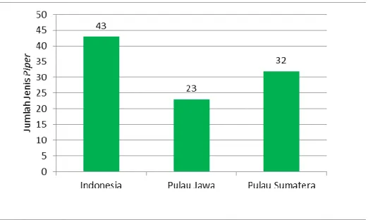 Gambar 1  Perbandingan jumlah jenis Piper yang terdapat di Indonesia, Pulau Jawa, Pulau Sumatera (Sumbar dan  TNBBS (4 resort di Provinsi Lampung)