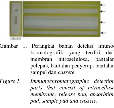 Gambar 1. Perangkat bahan deteksi imuno-