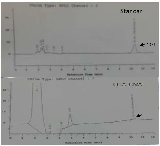 Figure 7.  Gambar 7.  Kromatogram HPLC OTA-OVA dibandingkan dengan OTA standar. HPLCchromatogram OTA-OVA compared with OTA standar