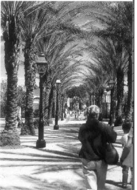 Gambar II-3: Rancangan jalan dengan pepohonan di tepinya yang telah terwujud (sumber: Urban Redevelopment Authority, 1996: 17) 