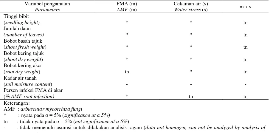 Table 2.  Effect of AMF and duration of water stress on percent root infection of 26 weeks old oil palm seedlingTabel 2