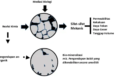 Gambar 1. Skema sistem perbaikan tanah yang dimediasi secara biologis (DeJong, 2009 dimodifikasi)