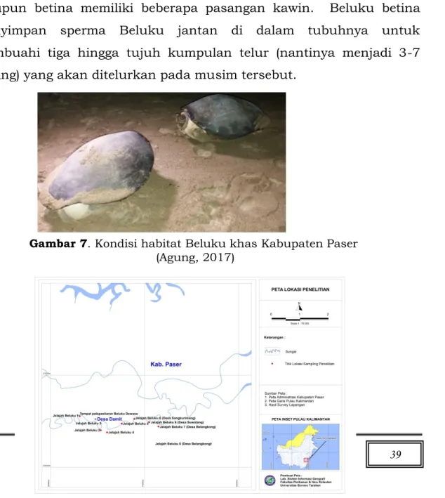 Gambar 7. Kondisi habitat Beluku khas Kabupaten Paser   (Agung, 2017) 