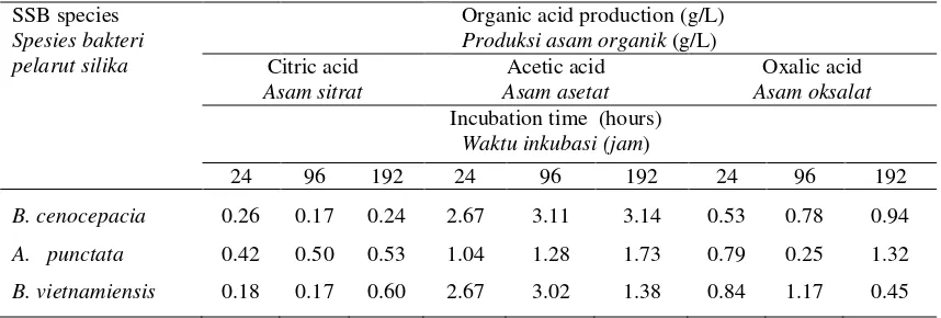 Tabel 5.   Produksi asam organik oleh bakteri pelarut silika di dalam medium cair Bunt dan  Rovira yang 