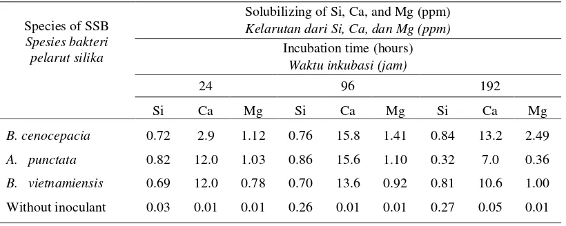 Tabel 6.   Kemampuan isolat bakteri pelarut silika dalam melarutkan silika di dalam medium cair Bunt dan 0.25% quartz mineral as substrate