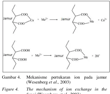 Gambar 4. Mekanisme pertukaran ion pada jamur      