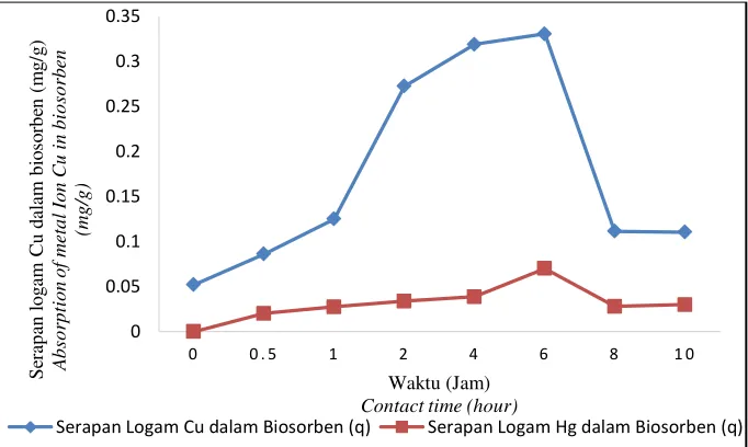 Gambar 7. Serapan Ion Logam Cu2+dan Hg2+dalam jamur pelapuk putih kultur Omphalina sp