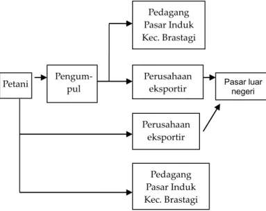 Gambar 2.  Model  distribusi  sayuran  dataran  tinggi  di  Kabupaten Karo, Sumatera Utara 
