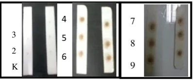 Gambar 3. Pengujian dot blot immunoassay IgY anti OTA periode 2, 3, 4, 5, 6 dan 7, dibandingkan dengan kontrol