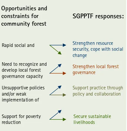 Figure 1. Context for community forest management and emerging themes within SGPPTF 