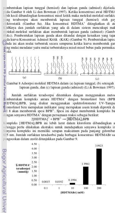 Gambar 8 Adsorpsi molekul HDTMA dalam (a) lapisan tunggal, (b) setengah 