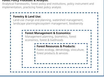 Figure 2: Policy analysis in the forestry curriculum