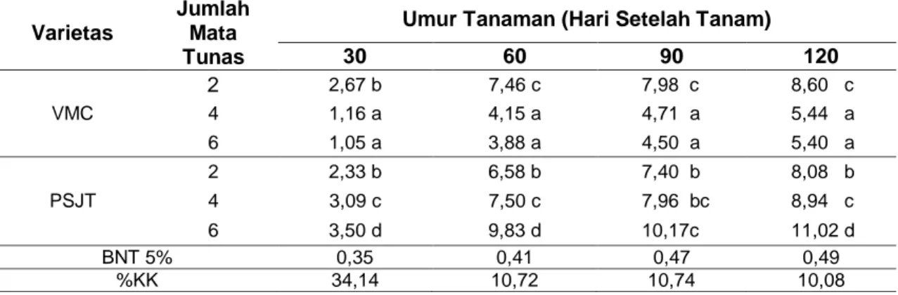 Tabel 4  Rerata Jumlah Anakan per Rumpun Akibat Interaksi Varietas dan Jumlah Mata Tunas  Bibit stek Tebu 
