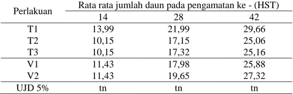 Tabel  2.  Rata-rata  jumlah  daun  bawang  merah  akibat  perlakuan  tinggi  bedengan  dan  dua varietas bawang merah pada berbagai umur pengamatan