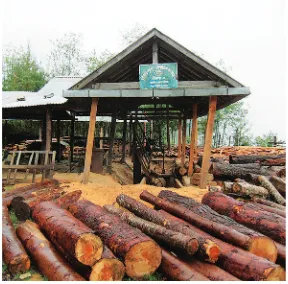 Figure II 16.1 The Chaubas-Bhumlu sawmill is the irst community operated timber processing unit in Nepal