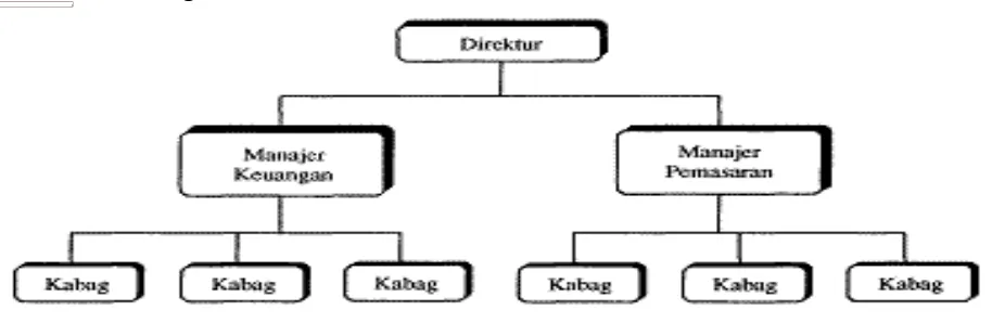 Gambar struktur organisasi Lini :