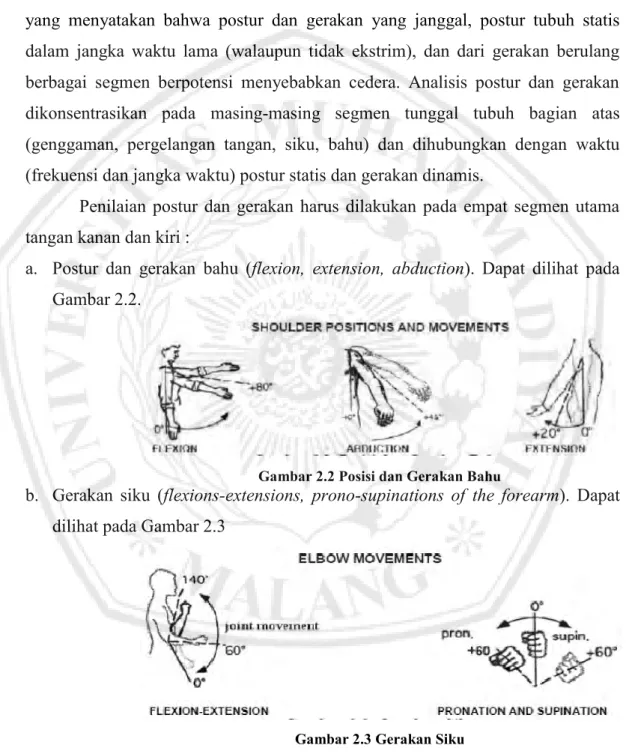 Gambar 2.2 Posisi dan Gerakan Bahu 