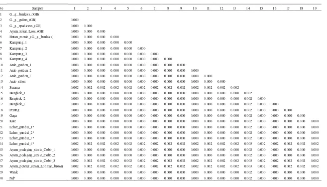 Tabel 3 Jarak genetik berdasarkan metode pairwise distance daerah COI setiap individu ayam 