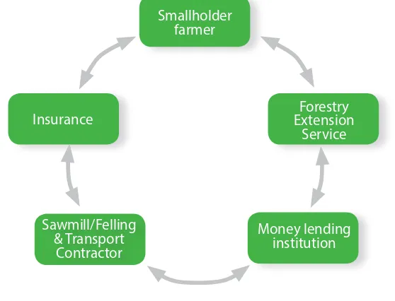 Figure 1. Economic relationships between farmers, contractors, inancial institutions, and extension services in a teak economy with the role of insurance as helping to mitigate the risk of loan defaults.