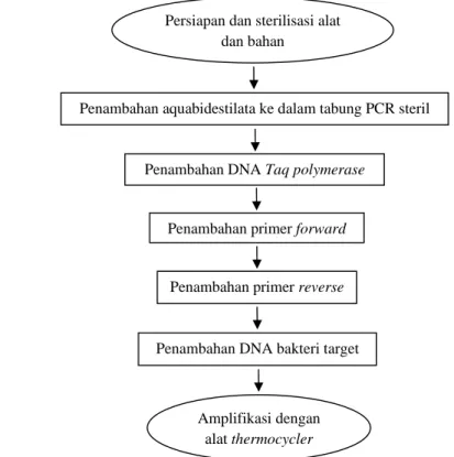 Gambar 14. Proses amplifikasi DNA dengan menggunakan alat thermocycler 