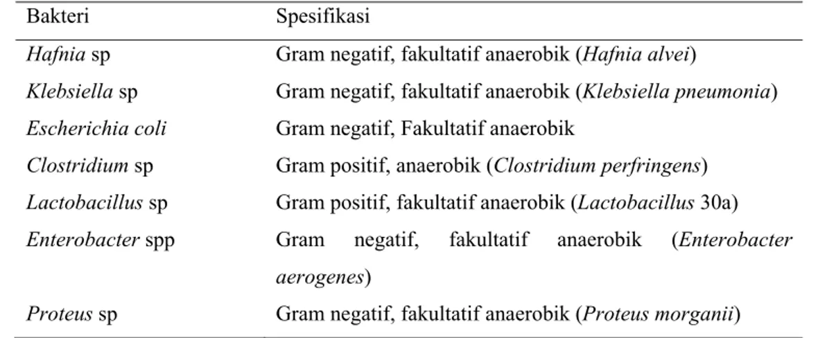 Tabel 3 Jenis-jenis dan spesifikasi bakteri pembentuk histamin yang terdapat pada  ikan laut  Bakteri Spesifikasi  Hafnia sp  Klebsiella sp  Escherichia coli  Clostridium sp  Lactobacillus sp  Enterobacter spp  Proteus sp 