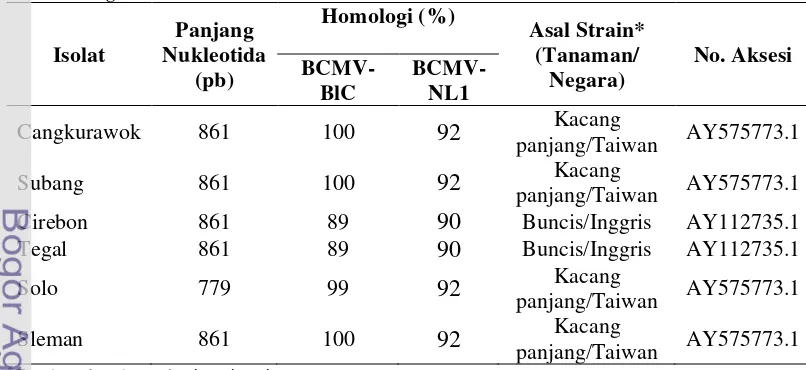 Tabel 2. Hasil perunutan basa nukleotida gen CP beberapa Isolat BCMV dari 