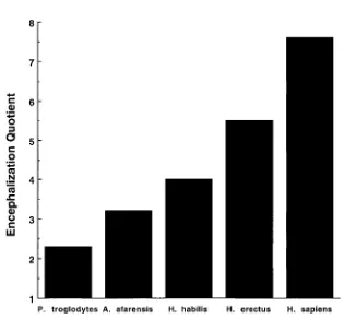 FIGURE 1.2. EQs for chimpanzees (P. troglodytes) and four hominid species (data for chimpanzees from Jerison,1973; data for hominids from Tobias, 1987).