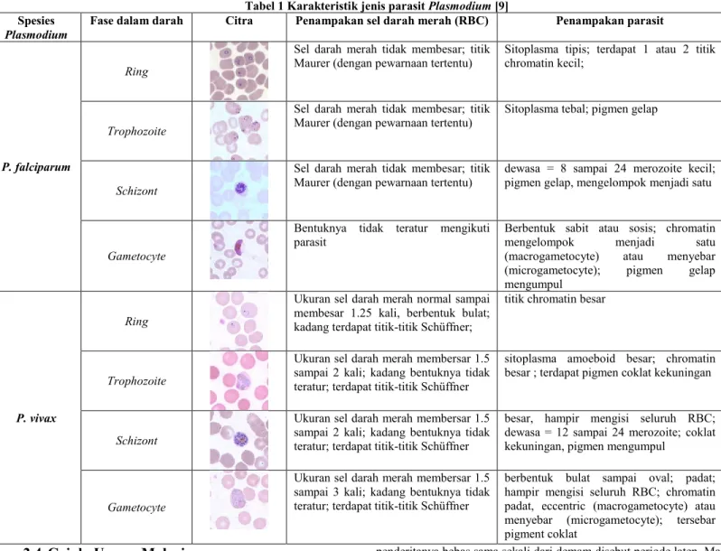 Tabel 1 Karakteristik jenis parasit Plasmodium [9] 