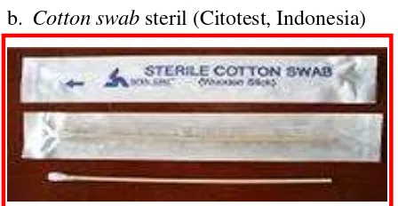 Gambar 3.2 Cotton swab steril (Citotest, Indonesia)