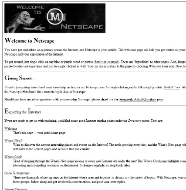 Figure 1-1. Netscape’s home page in 1994