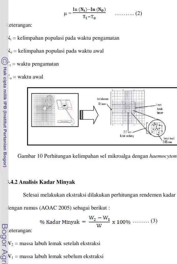 Gambar 10 Perhitungan kelimpahan sel mikroalga dengan haemocytometer. 