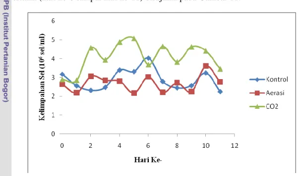 Gambar 11 Grafik kelimpahan sel Porphyridium cruentum interval 10 hari pertama. 